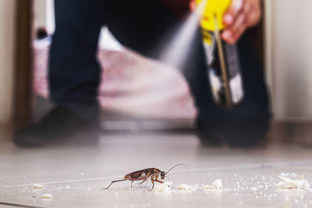 Buffalo, NY Pest Control Company