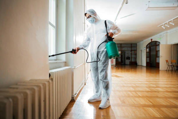 Best Bed Bug Extermination  in Buffalo, NY