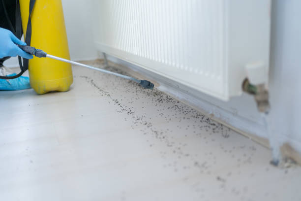 Best Emergency Pest Control  in Buffalo, NY